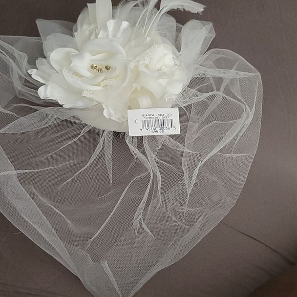 Birdcage head piece